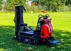 Baum-Standortverbesserung