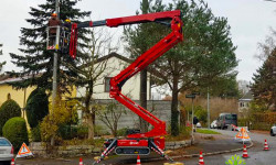 Baumpflege Baumpflege