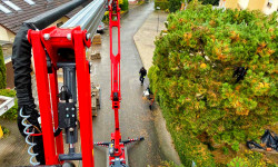 Baumpflege Baumpflege