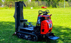 Baum-Standortverbesserung Baum-Standortverbesserung