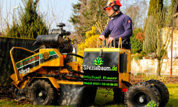 Baumstumpffräsen Baumstumpffräsen