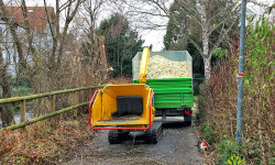 Landschaftspflege (Rückschnitt & Pflege) Landschaftspflege (Rückschnitt & Pflege)