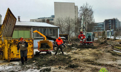 Landschaftspflege (Rückschnitt & Pflege) Landschaftspflege (Rückschnitt & Pflege)