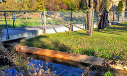 Landschaftspflege (Rückschnitt & Pflege) Landschaftspflege (Rückschnitt & Pflege)