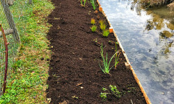 Landschaftspflege (Rückschnitt & Pflege) Landschaftspflege (Rückschnitt & Pflege)