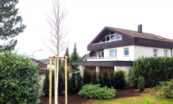 Landschaftspflege (Rückschnitt & Pflege) Landschaftspflege (Rückschnitt & Pflege)