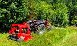 Mäh-Arbeiten und Mulch-Arbeiten Mäh-Arbeiten und Mulch-Arbeiten
