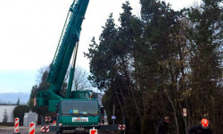 Spezialbaumfällungen Spezialbaumfällungen