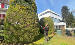 Landschaftspflege (Rückschnitt & Pflege) Landschaftspflege (Rückschnitt & Pflege)