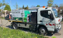 Baum-Standortverbesserung Baum-Standortverbesserung