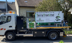 Baum-Standortverbesserung Baum-Standortverbesserung