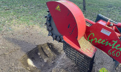 Baumstumpffräsen Baumstumpffräsen